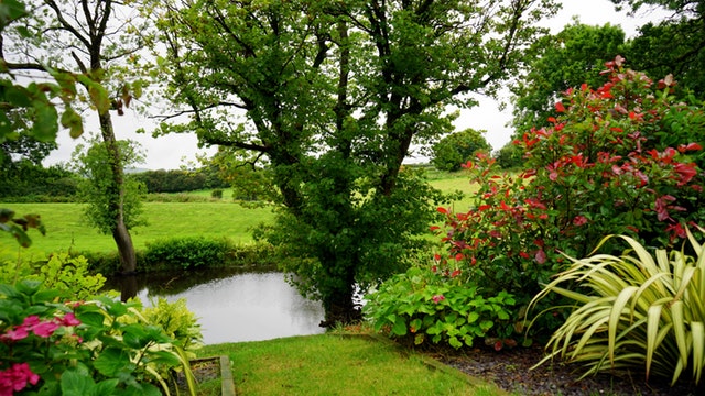 Toute l'information sur le jardin aquatique et minéral